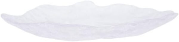 21BVejlYOHL  AC SL1006  600x144