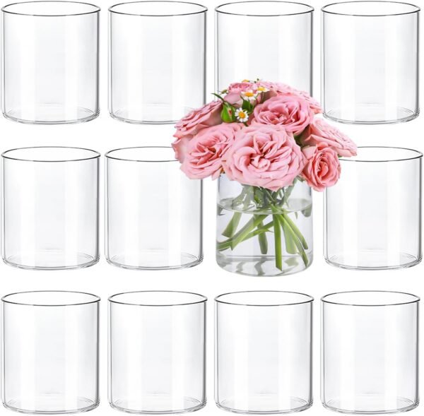 12 Piece 4 Inch Glass Cylinder Vases for Centerpieces